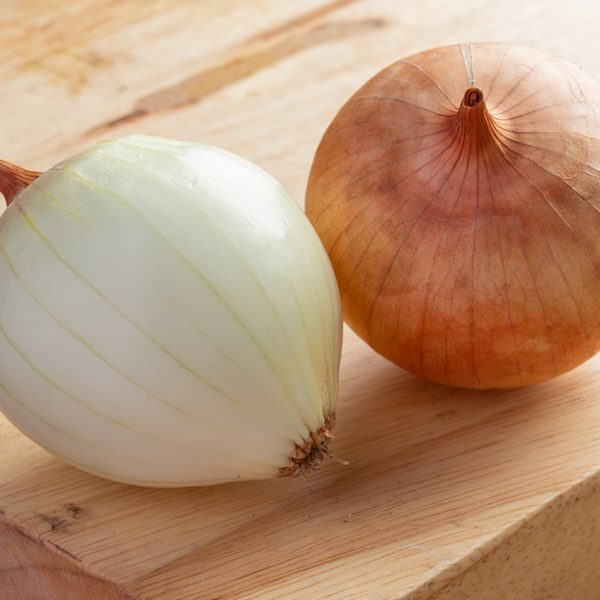 0Day Onion